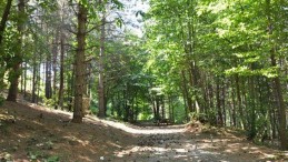 Flaş Karar; Yasak Kaldırıldı