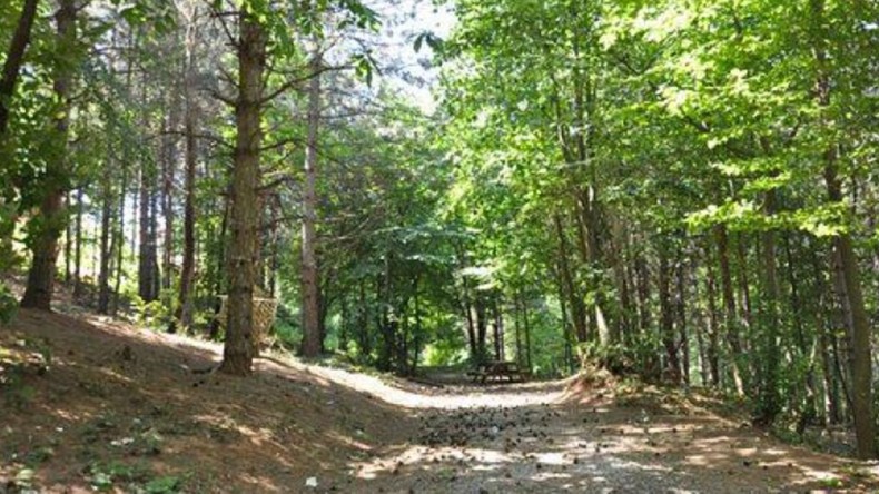 Flaş Karar; Yasak Kaldırıldı