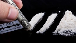 Kocaeli Valiliği Duyurdu; İşte Uyuşturucu Bilançosu