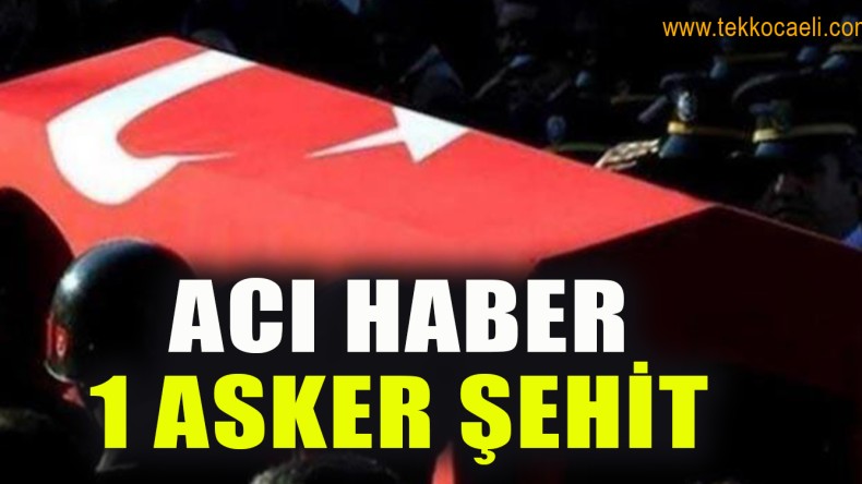 Acı Haber; 1 Asker Şehit