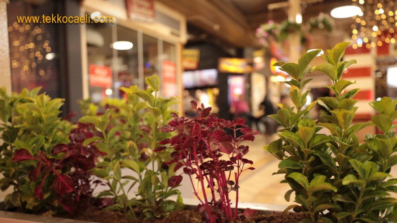 Tarihi Kapanönü Çarşısı Işıl Işıl Oldu