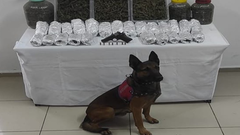 Jandarma’dan Kartepe’de Uyuşturucu Baskını