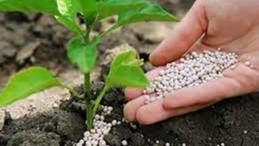 Yeni Zam Haberini Duyurdu; Gübre Fiyatları Durmuyor