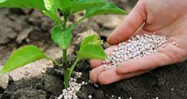 Yeni Zam Haberini Duyurdu; Gübre Fiyatları Durmuyor