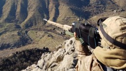 Terör Örgütünün Kadın Sorumlusu ve Yöneticisi Öldürüldü