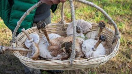 Kocaeli’de İlk Kez Yapıldı; Siz de Katılabilirsiniz