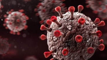 Türkiye’ye Omicron Varyantı Uyarısı; Yasaklar Geliyor mu?