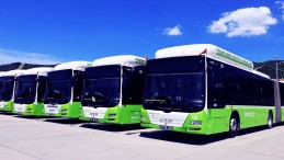 Kocaeli’de Rekor! Yüzbinlerce Kişi…