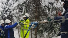 SEDAŞ Ekipleri Bakın Ne Yapıyor?