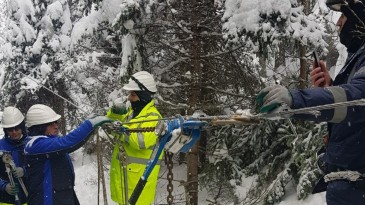 SEDAŞ Ekipleri Bakın Ne Yapıyor?