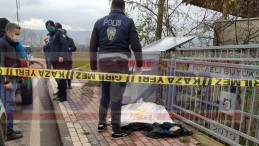 Başiskele’de Kedi ve Köpek Ölüleri Bulundu