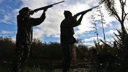 Çulluk Avına Giden Avcı Vuruldu