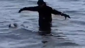 Yaralı Martının İmdadına İtfaiye Ekipleri Yetişti