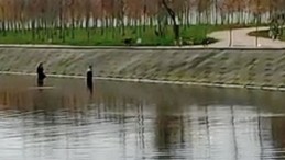 Köpek Sürüsü Gençlere Saldırdı