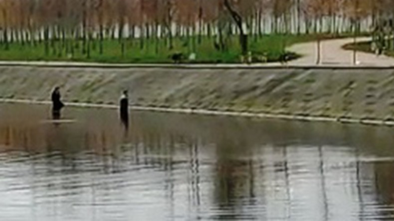 Köpek Sürüsü Gençlere Saldırdı