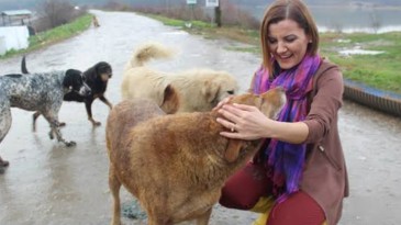 İzmitliler Dikkat! Bu Çağrı Size…