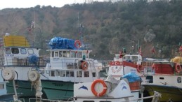 Kandıra’da Korkunç Anlar; Kopan Bacağı Denizde Kayboldu