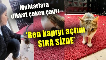 Hayvansever Gençten Muhtarlara Dikkat Çeken Çağrı