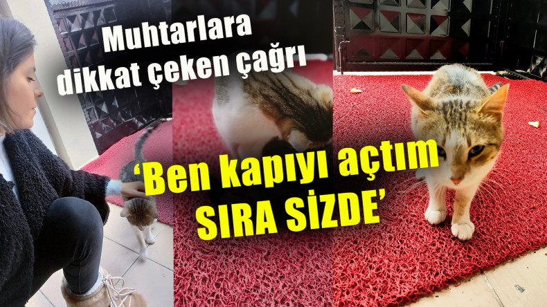 Hayvansever Gençten Muhtarlara Dikkat Çeken Çağrı