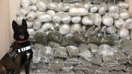 Uyuşturucu Tacirlerine Darbe; 115 Kg. Uyuşturucu Ele Geçirildi