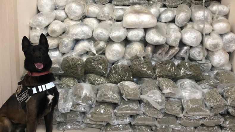 Uyuşturucu Tacirlerine Darbe; 115 Kg. Uyuşturucu Ele Geçirildi