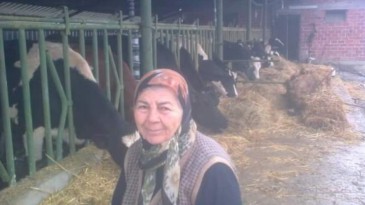 5 Çocuk Annesiydi; Kandıra’dan Acı Haber