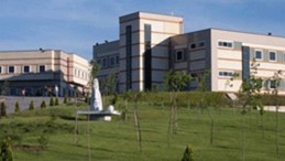 KOÜ Umuttepe Kampüsünde Köpekler Öğrenciye Saldırdı