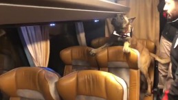 Yolcu Otobüsünde 126 Kilo Eroin Ele Geçirildi