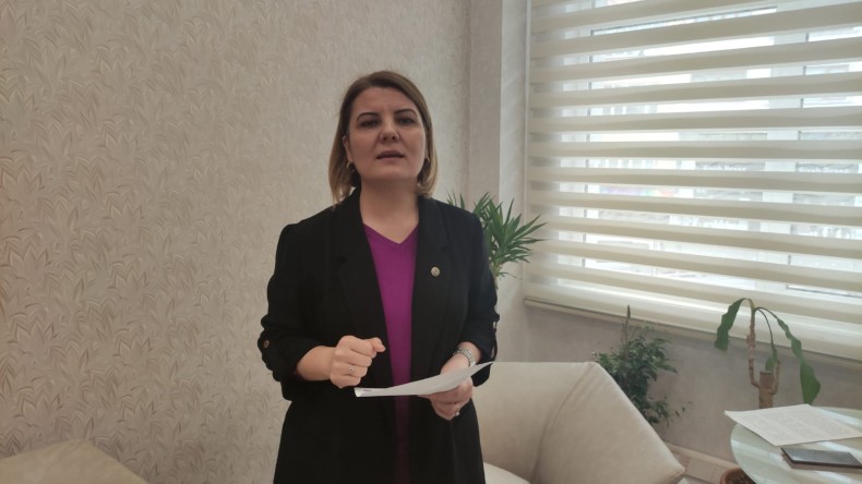 Halkevi Binasının Yenilenmesi İşine Hürriyet Talip Oldu