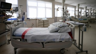 Müjdeler Olsun; Güzel Haber Geldi