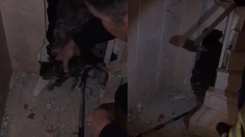 Apartman Boşluğuna Sıkışan Kediler Böyle Kurtarıldı