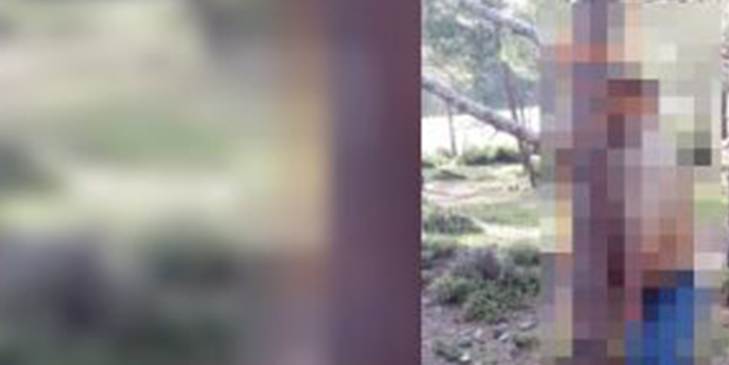 25 yaşındaki genç ormanda intihar etti
