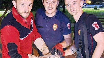 Mazgallarda sıkışan yavru kedi kurtarıldı