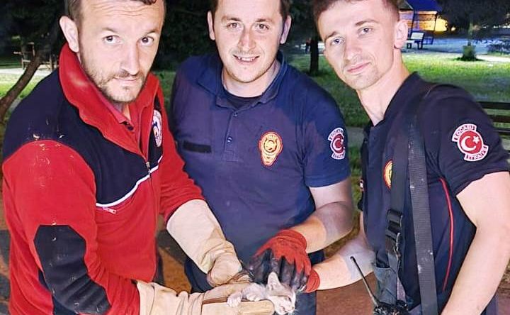 Mazgallarda sıkışan yavru kedi kurtarıldı