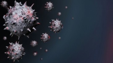 Korkutan haber; Öldürücü virüs paniği