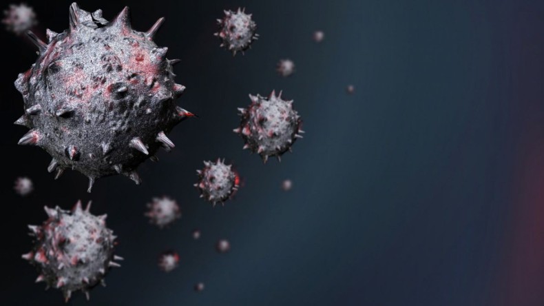 Korkutan haber; Öldürücü virüs paniği