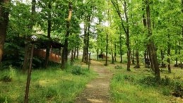 Dikkat! Cezası var; Kocaeli’de yasaklandı