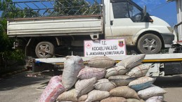 1 ton çalıntı fındıkla, jandarmaya yakalandılar!