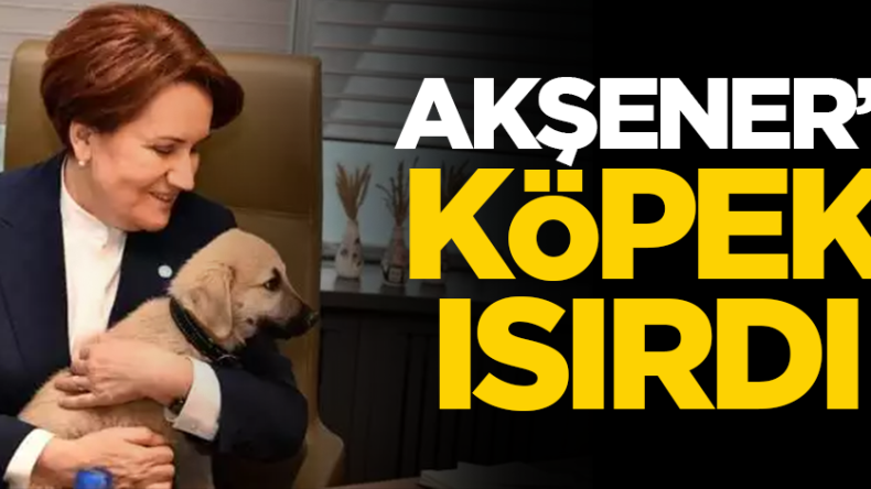 Meral Akşener’i köpek ısırdı