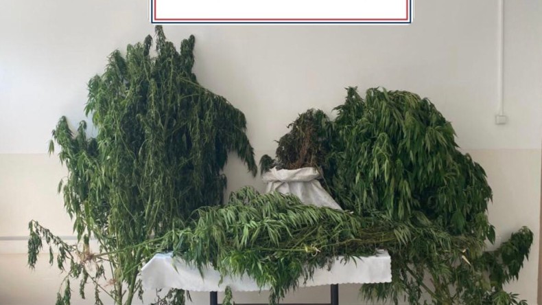 Jandarma’dan Kartepe’de eve uyuşturucu baskını