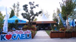 Türkiye’nin en büyük fuarında Kocaeli standına yoğun ilgi