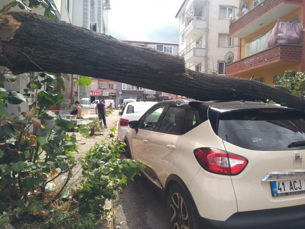 Fırtınanın devirdiği ağaç, park halindeki otomobilin üzerine düştü