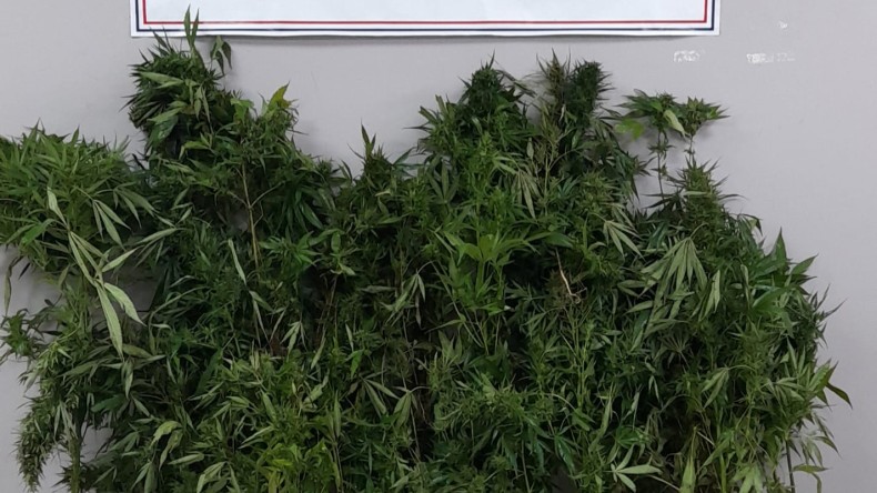 Akmeşe’de evin bahçesine jandarma baskını