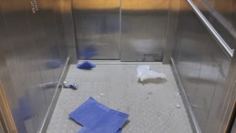 Asansör kabinlerini yine boyadılar!