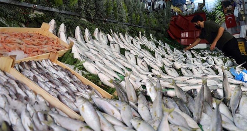 İşte yeni sezon fiyatları