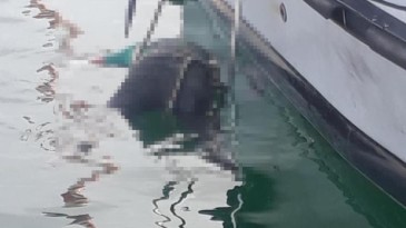 Deniz’de kan donduran ceset!