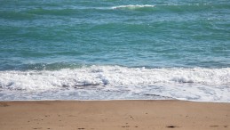 Kocaeli’de plajlara girmek yasak!