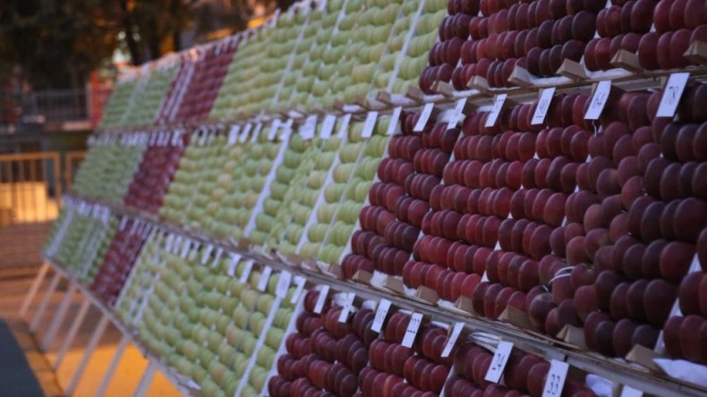 28. Yeşil İhsaniye Elma Festivali, ödül töreni ve konserle tamamlandı