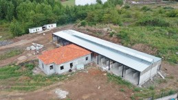 Başiskele’de sokak hayvanlarına modern tesis inşa ediliyor