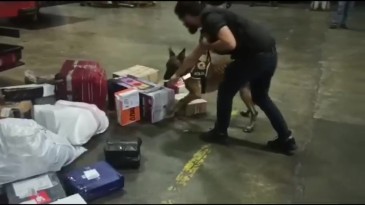 Ses sitemine zulalanan esrar, polise takıldı!